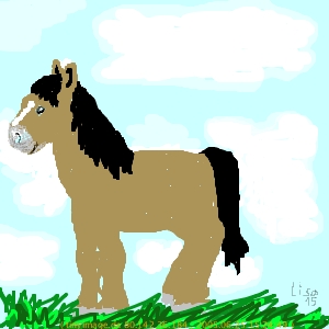 Bild von einem Pferd malen